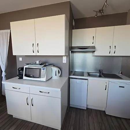 Rénové Vue Mer, Animaux Acceptés - Fr-1-777-40 *